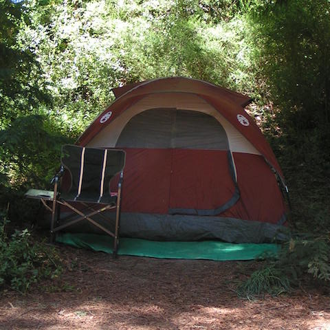 cabin