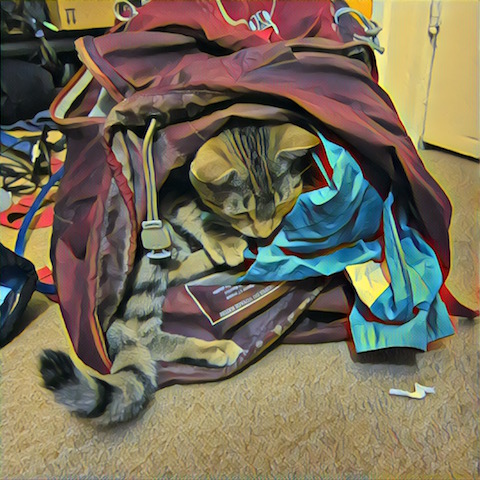 packing